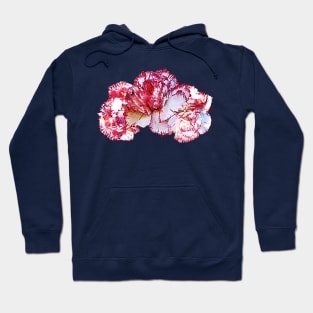 Carnations - Three Pink-Tipped Carnations Hoodie